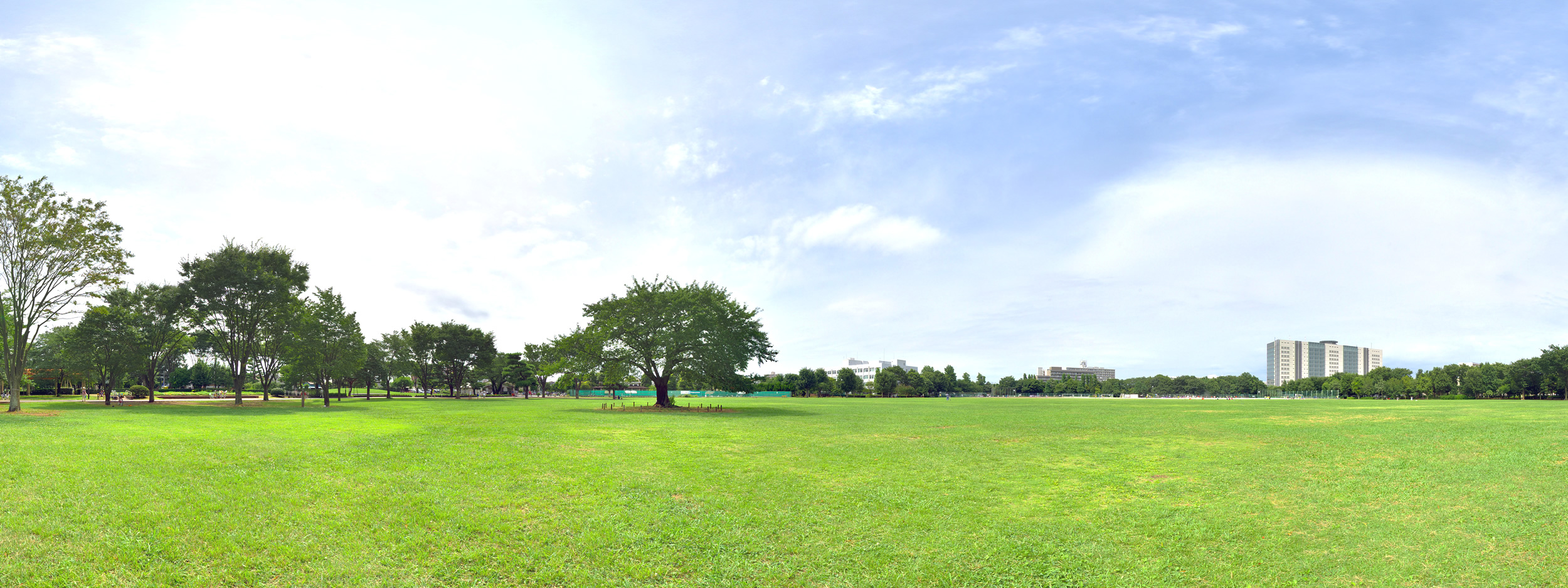 中古 除雪機・車・バイクの買取
